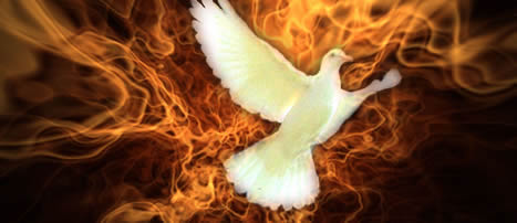 Dove of Fire