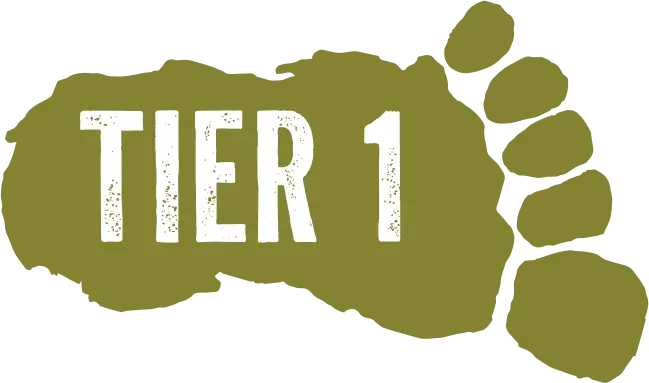 Tier 1