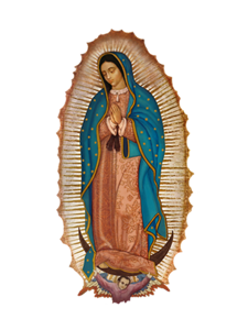 Our Lady of Guadalupe