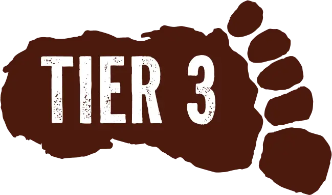 Tier 3