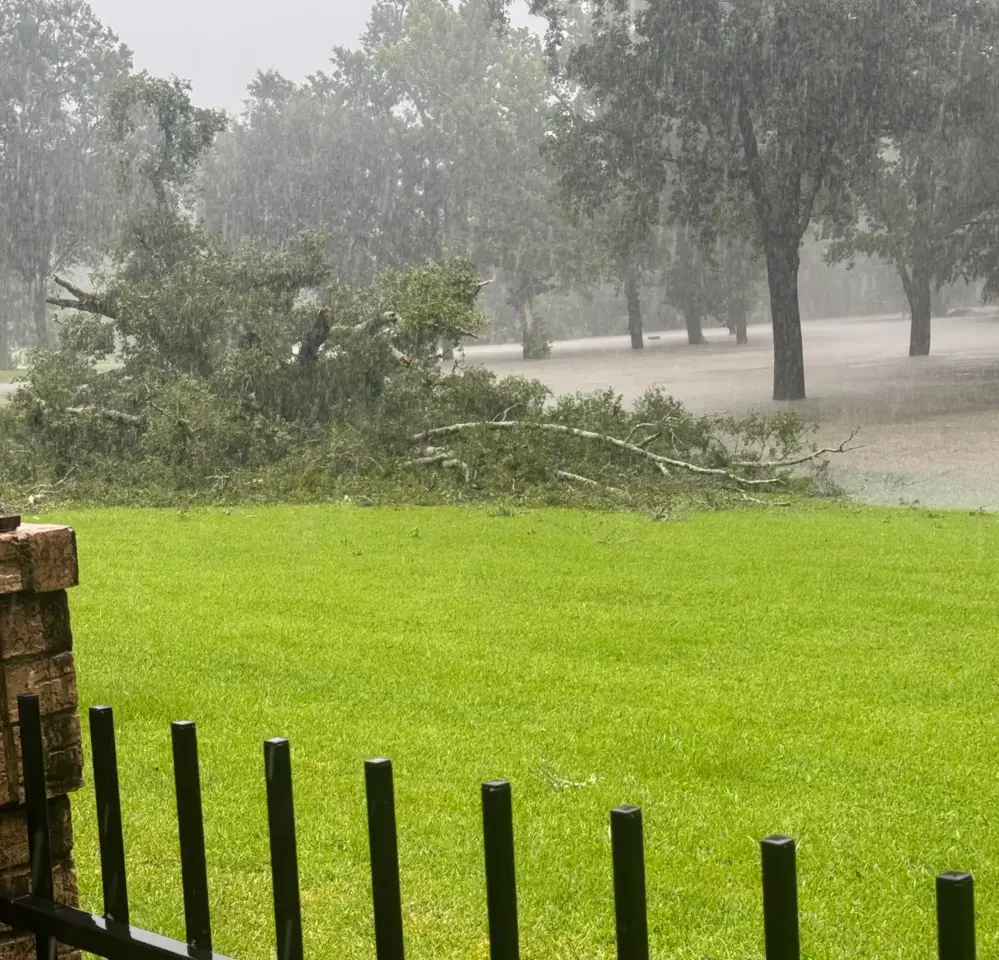 Todd's back yard during flooding