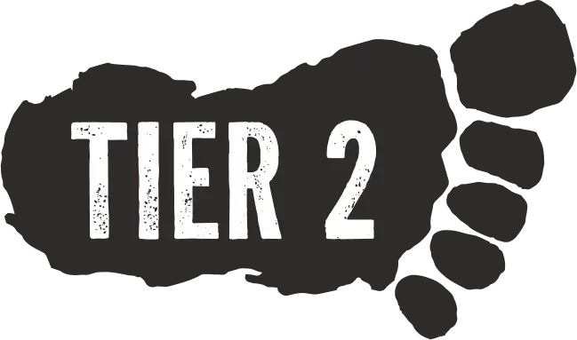 Tier 2