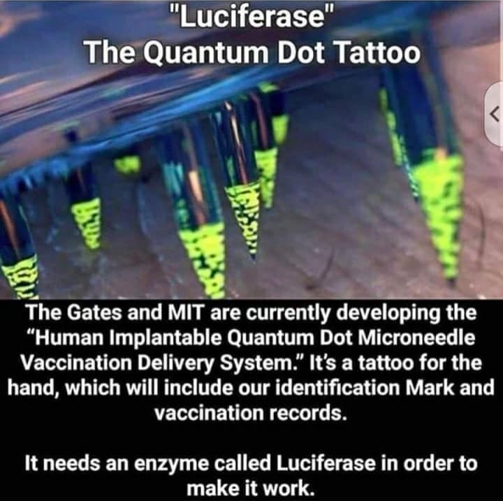 Luciferase- The Quantum Dot Tattoo