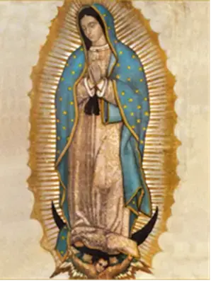 Our Lady of Guadelupe