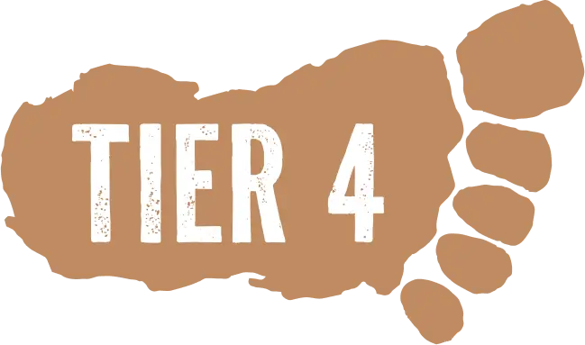 Tier 4
